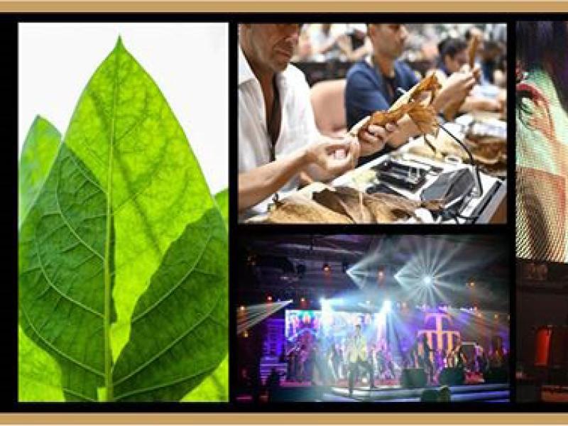 Festival del Habano