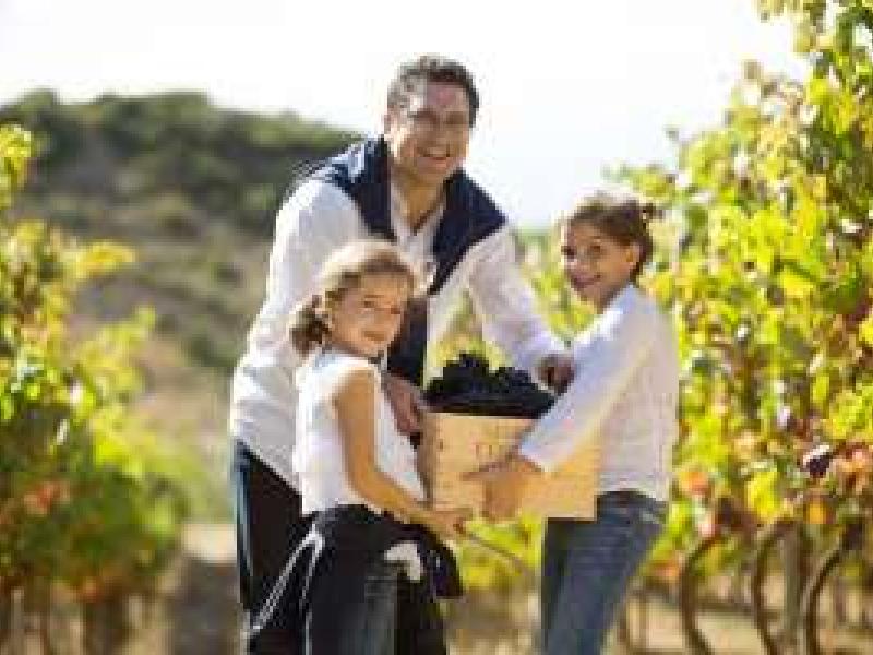 Villa-Lucía organiza varias actividades en torno a la vendimia en Rioja Alavaesa
