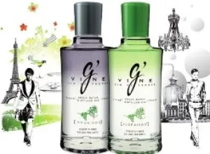 G´Vine selecciona al mejor Gin Bartender del mundo