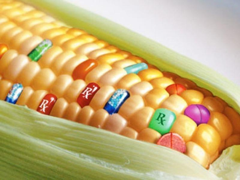 Cada 8 de abril se celebra el Día Internacional de Oposición a los Alimentos Transgénicos