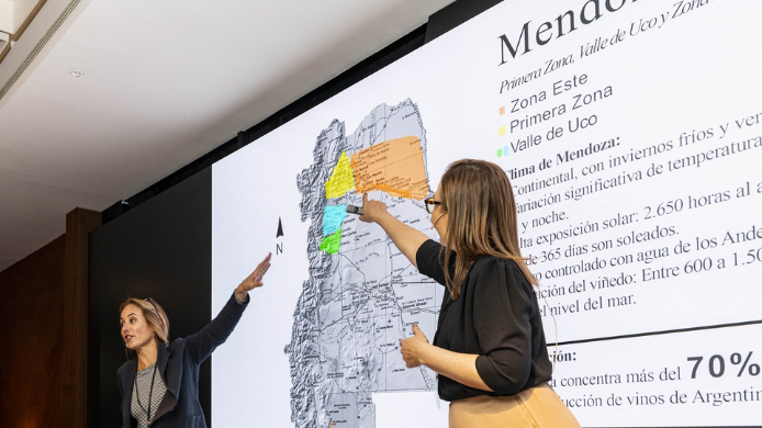 Explicación de vinos españoles