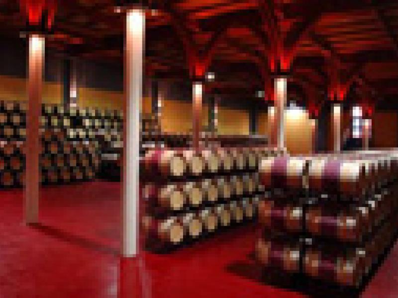 Ruta del Vino de La Mancha invita a conocer la tierra del Quijote