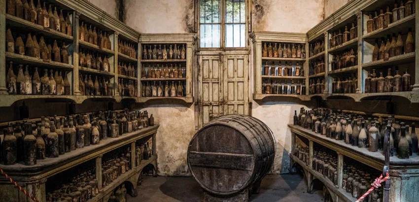 Vinos