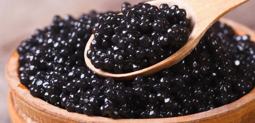 caviar 