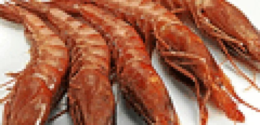 Los frutos secos, el melocotón y las gambas son los alimentos que más alergias provocan Los frutos secos, el melocotón y las gambas son los alimentos que más alergias provocan