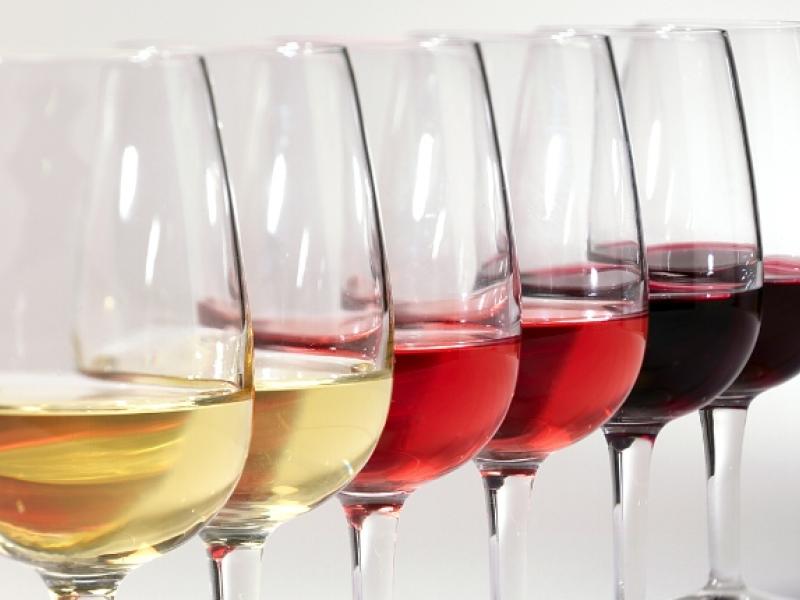 mejores vinos de España