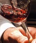 Estados Unidos se consolida como el mayor consumidor de vino en el mundo