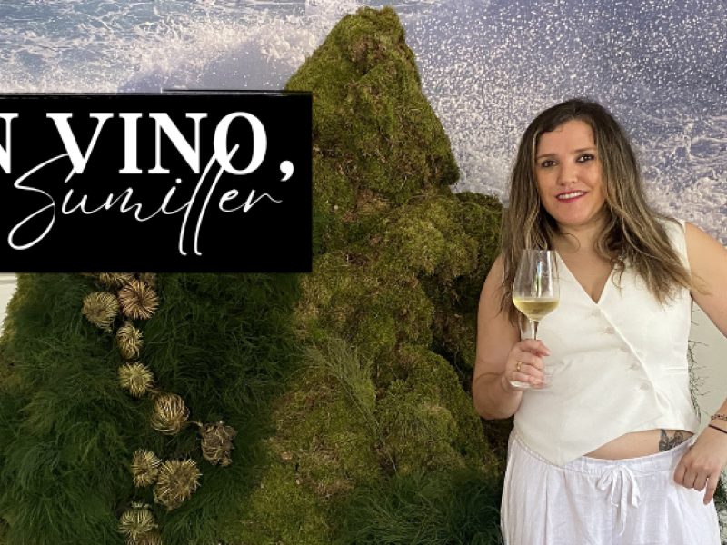 Un Vino, Un Sumiller: Finca Valiñas 2020 por Tatiana del Río