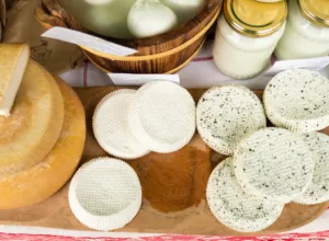 Concurso Internacional de Lyon queso español