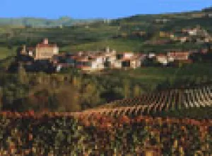 El Rey de los Vinos, y el vino de los Reyes
