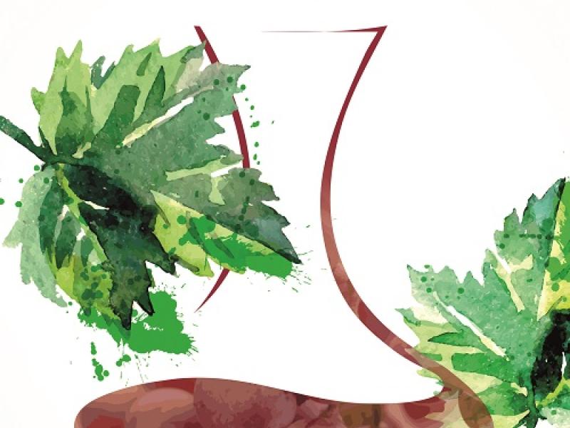 Guía de Vinos y?Aceites 2017 