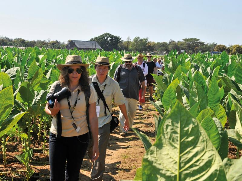 Agroturismo 