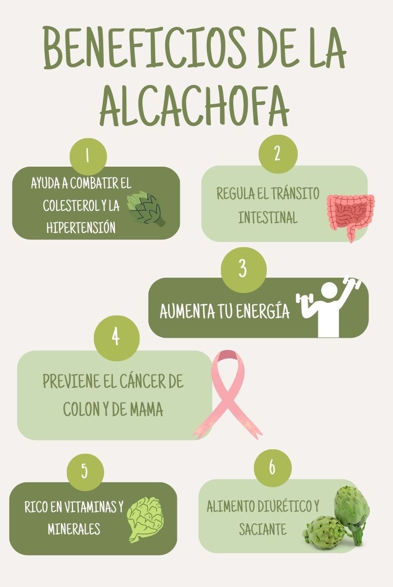 alcachofa