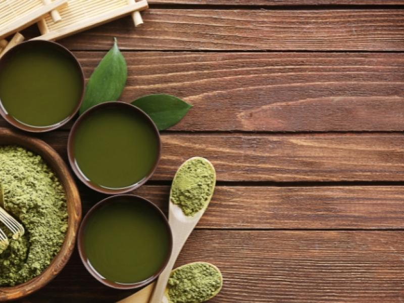 universidad de harvard revela alternativas al café
