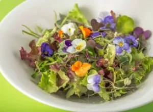 Isabel Maestre recupera los sabores olvidados gracias a proveedores 100 % ecológicos
