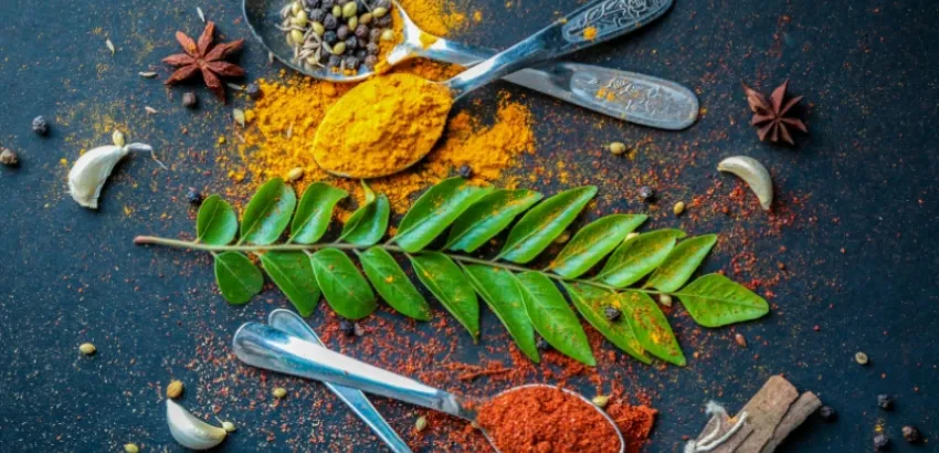 cocina y arte cocina y arte
