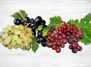 Uvas nobles