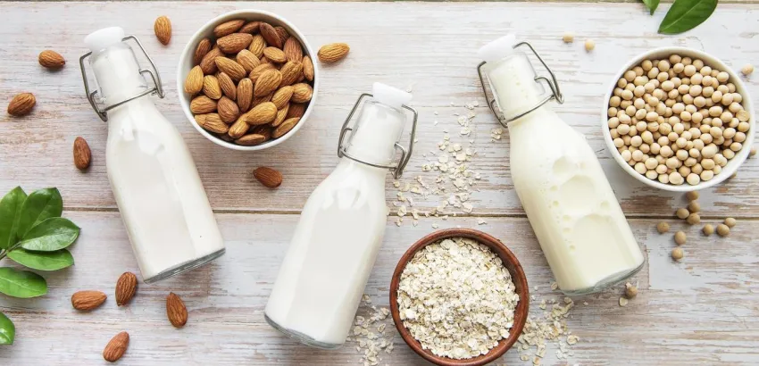 leche vegetal