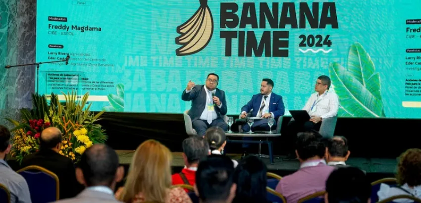 Banana-Time-2024 Banana Time 2024