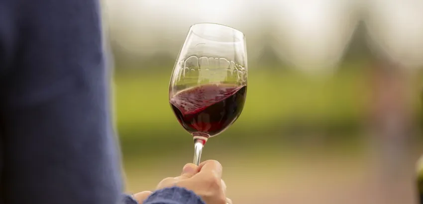 Mendoza-Vino-Argentina