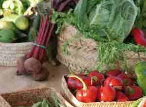 Descubre la gastronomía ibicenca
