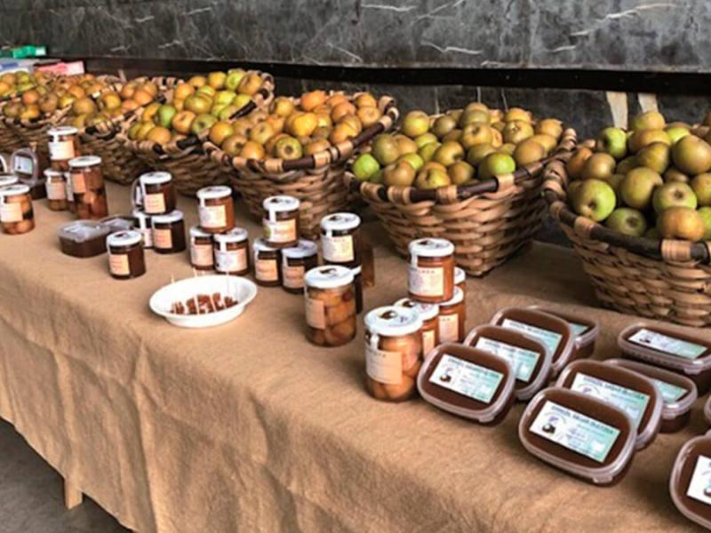 Alimentos sintéticos 
