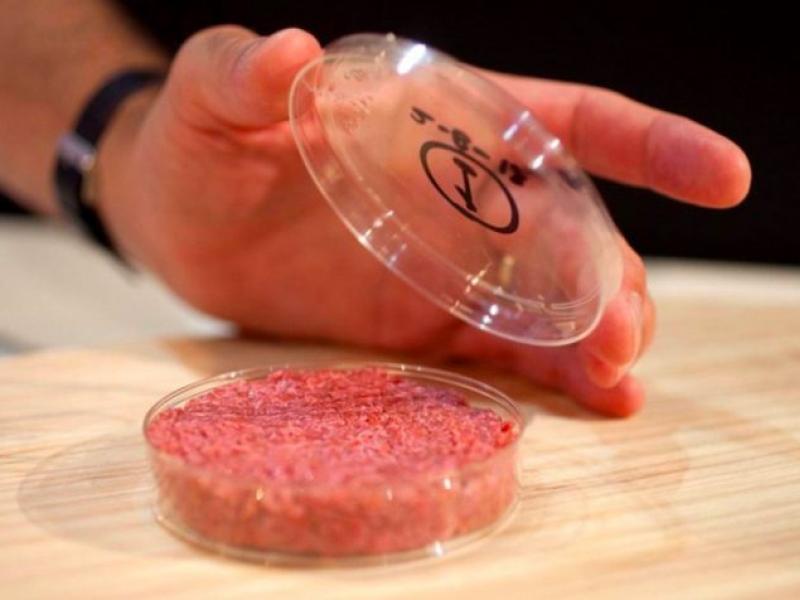 ¿Estarían los consumidores dispuestos a comer carne de laboratorio regularmente?