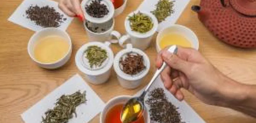 Todos los secretos del universo del TÉ en las Catas de Tekoe Todos los secretos del universo del TÉ en las Catas de Tekoe