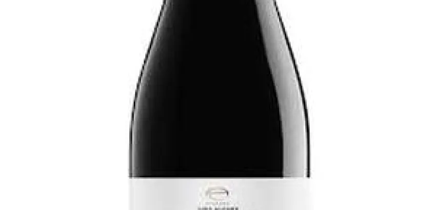 Bodegas Luis Alegre renueva su vino Koden Bodegas Luis Alegre renueva su vino Koden