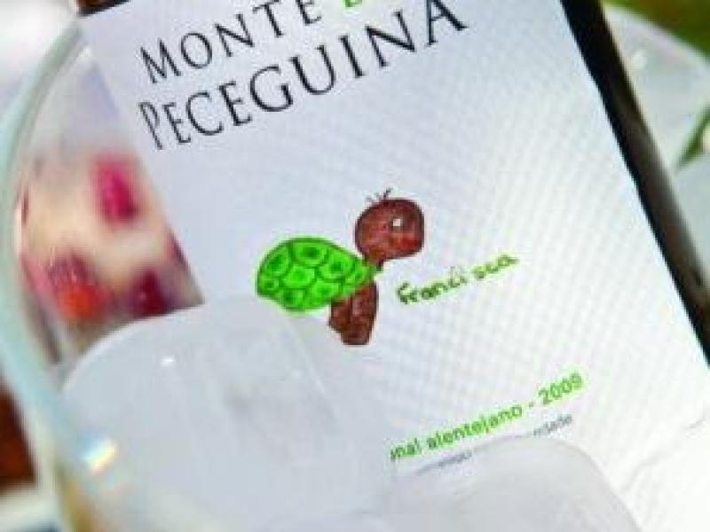 La región de Alentejo en Portugal se prepara para el mes de la vendimia