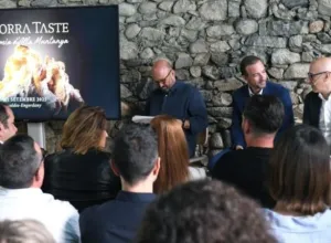 Andorra taste 2025