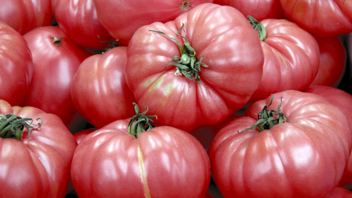 Tomate rosa