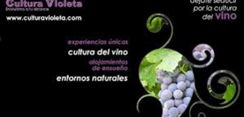 Convenio AEE-Cultura Violeta Convenio AEE-Cultura Violeta