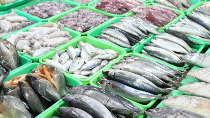 diferentes tipos de pescado