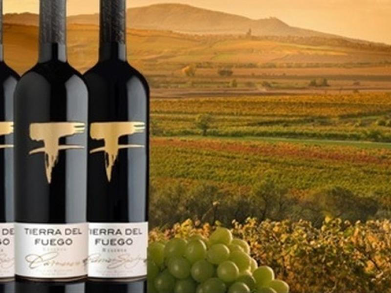 Tierra del Fuego… vinos con alma chilena