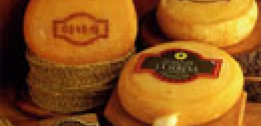 Expertos elegirán la mejor torta de La Serena Expertos elegirán la mejor torta de La Serena