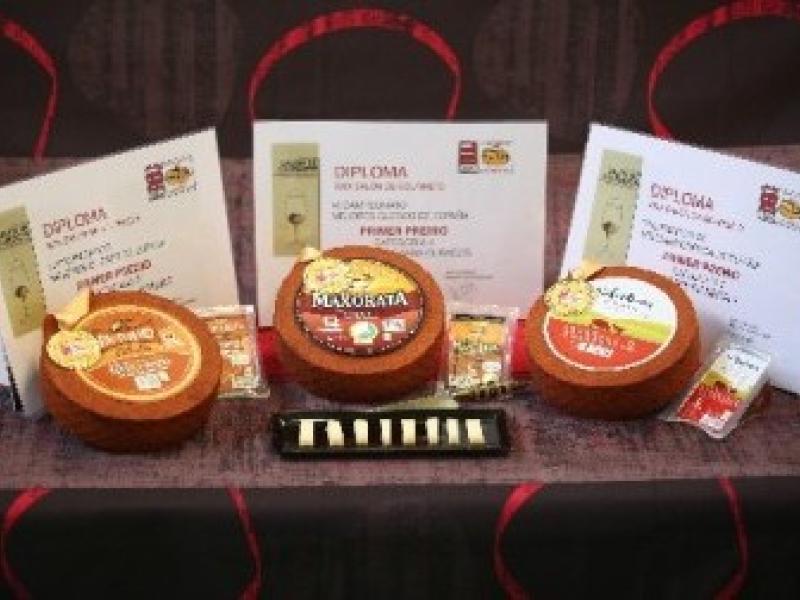 Tres quesos majoreros, los mejores de España en el Salón del Gourmet