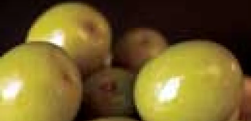 Aceitunas aliñadas