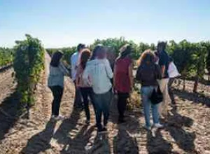 El 30% de los enoturistas españoles quiere visitar la Ruta del Vino de Rueda