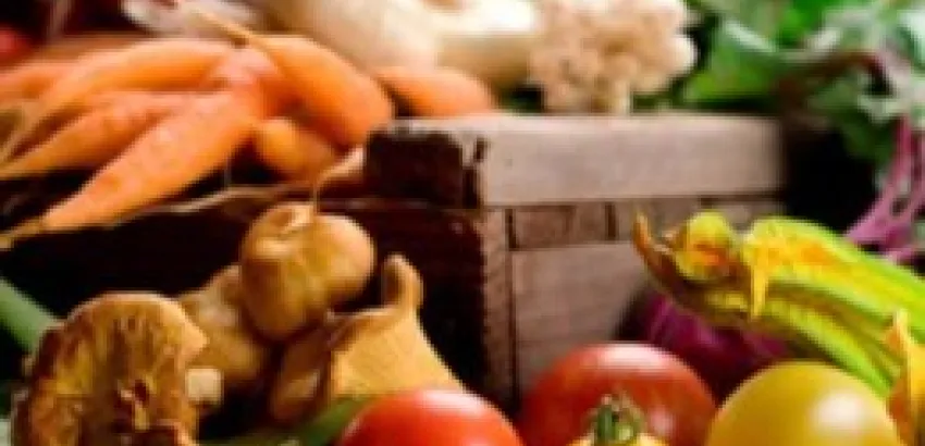 Fraude masivo en la agricultura ecológica Fraude masivo en la agricultura ecológica