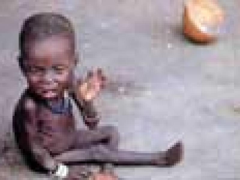 Más de mil millones de personas padecen hambre crónica en el mundo según la ONU