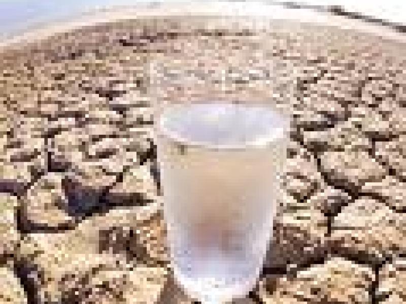 El cambio climático provocará guerras por alimentos