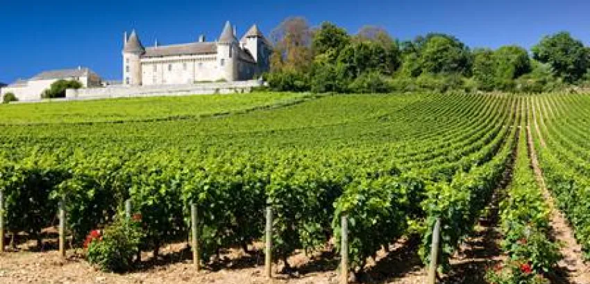 La ruta del Borgoña, mucho más que vinos divinos La ruta del Borgoña, mucho más que vinos divinos