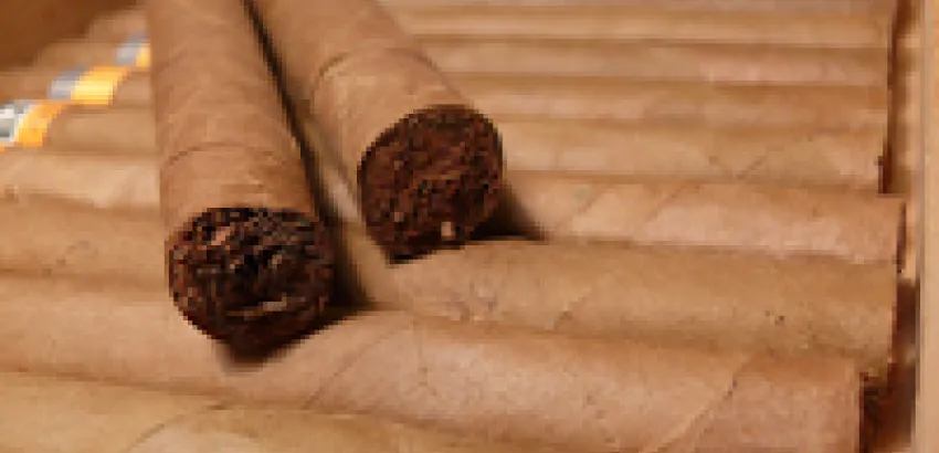 ¿Cómo es el Habano Ideal? ¿Cómo es el Habano Ideal?