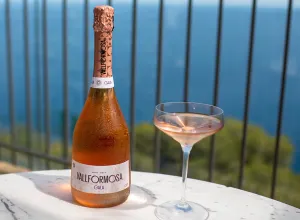 Vallformosa Gala Brut Rosé 2019