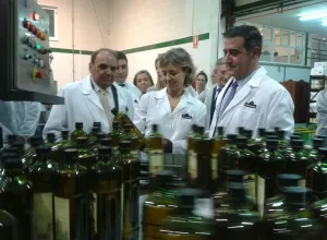 García Tejerina. “El sector del olivar está dando un ejemplo a España y al mundo”