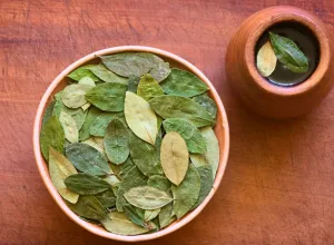 Mate de coca, infusiones para el mal de altura