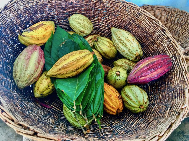 Agroturístico 