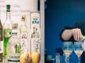 Gin Show en Barcelona