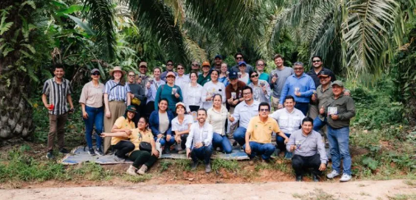 RSPO productores de palma productores de palma de América Latina